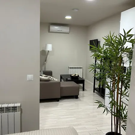 Centro Recogidas, Apartment