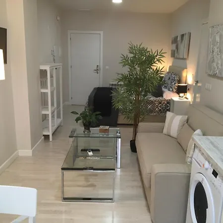 Centro Recogidas, Apartment Granada